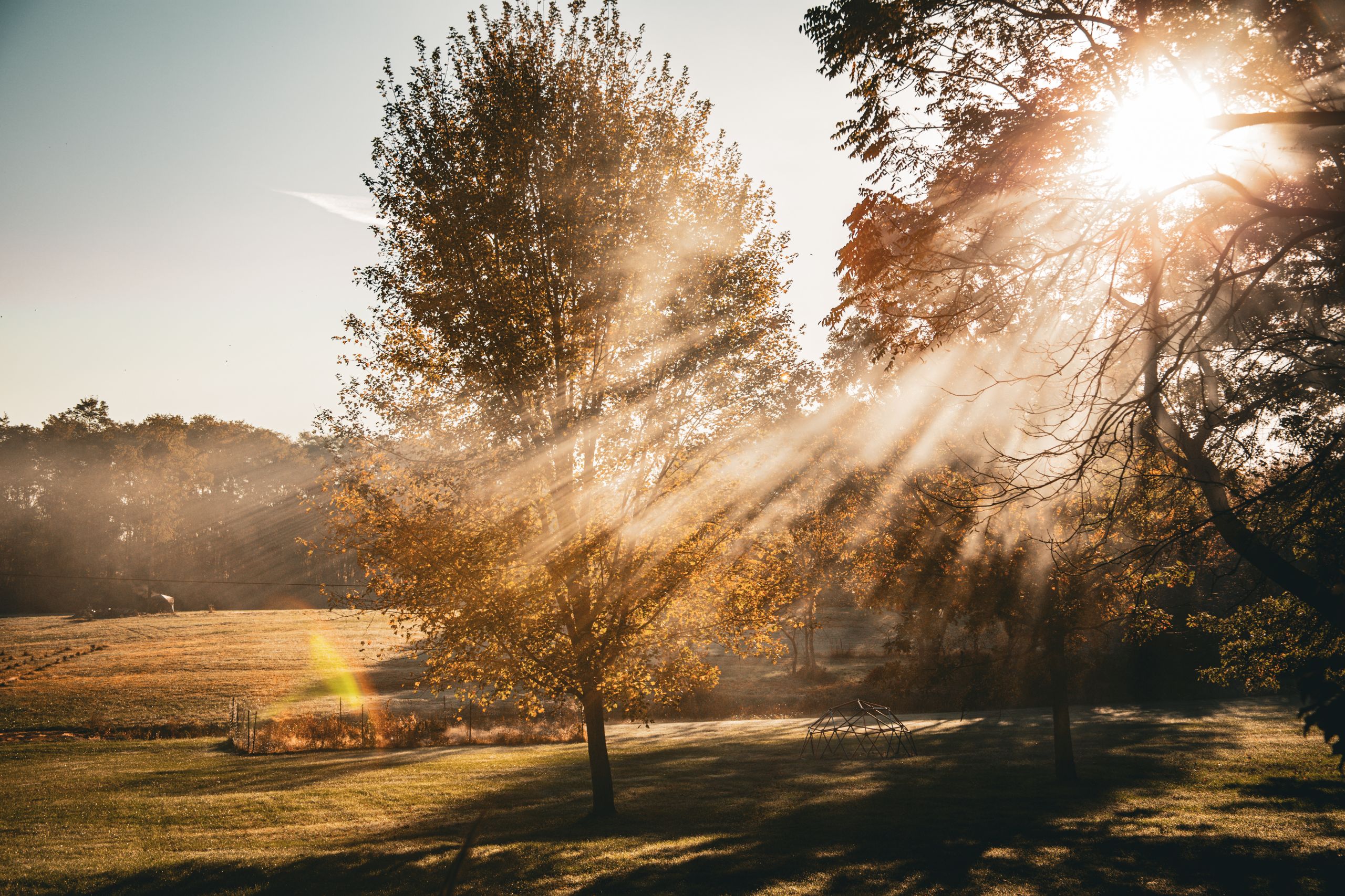 Golden sunlight streaming through autumn trees in a misty rural landscape.