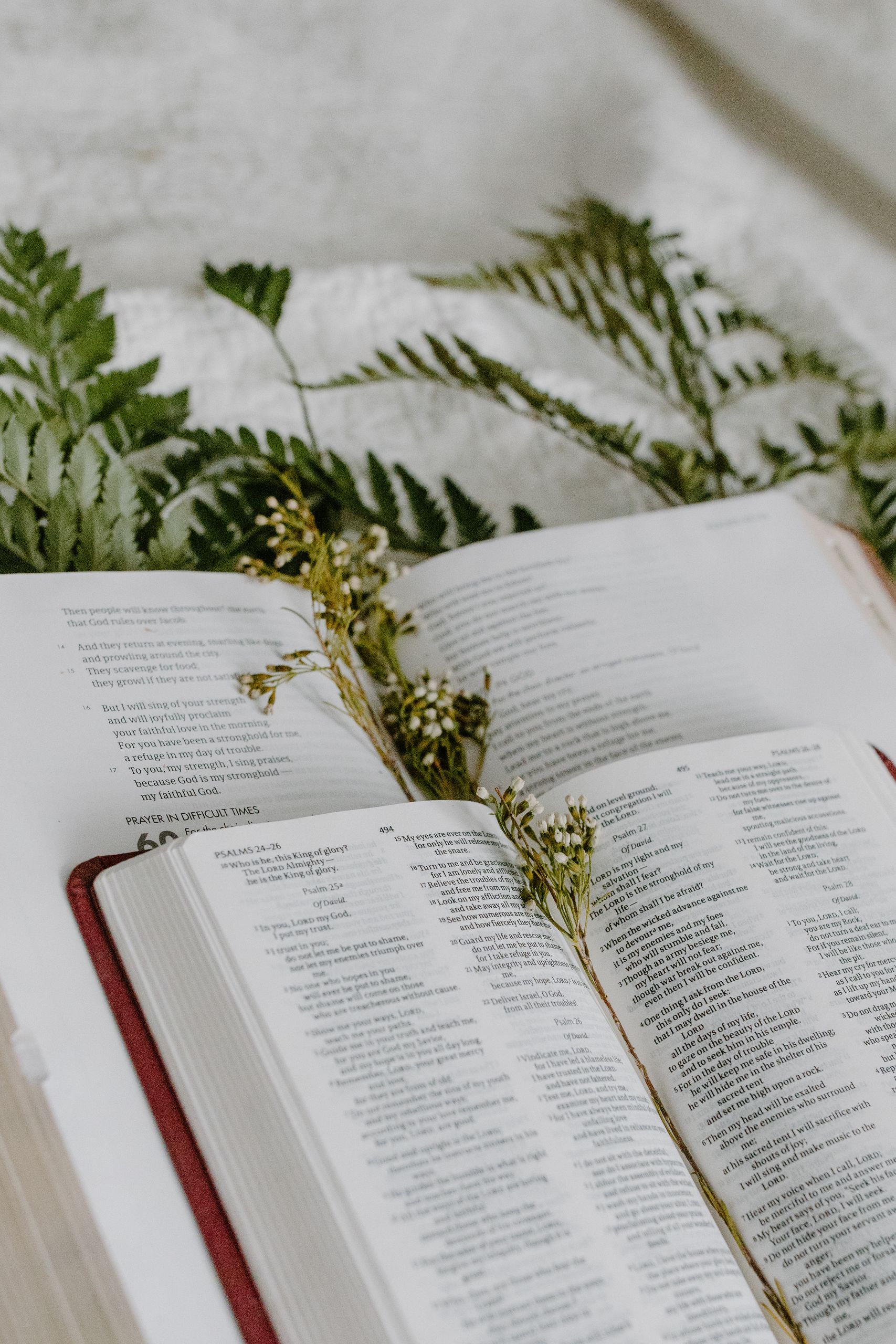 Open Bible pages adorned with dried flowers and fern leaves, creating a peaceful spiritual scene.