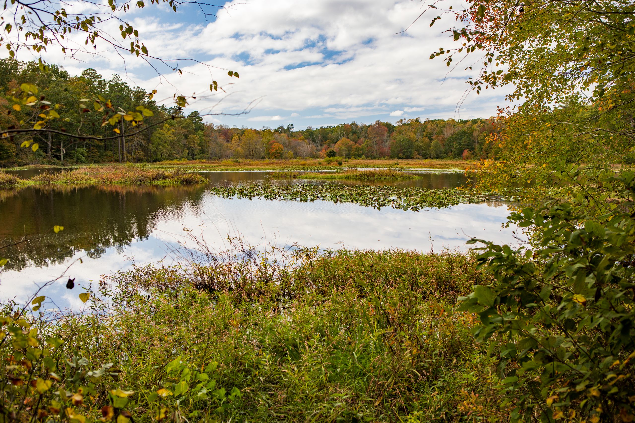 Tranquil scene of a forest lake reflecting autumn foliage and cloudy sky.